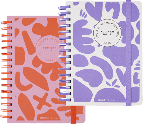 (15003) AGENDA MO N8 FLOW DXP 5238 - AGENDAS - AGENDAS