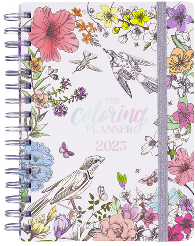 (15632) AGENDA MO N8 COLOR.PLANER 4178 SV - AGENDAS - AGENDAS